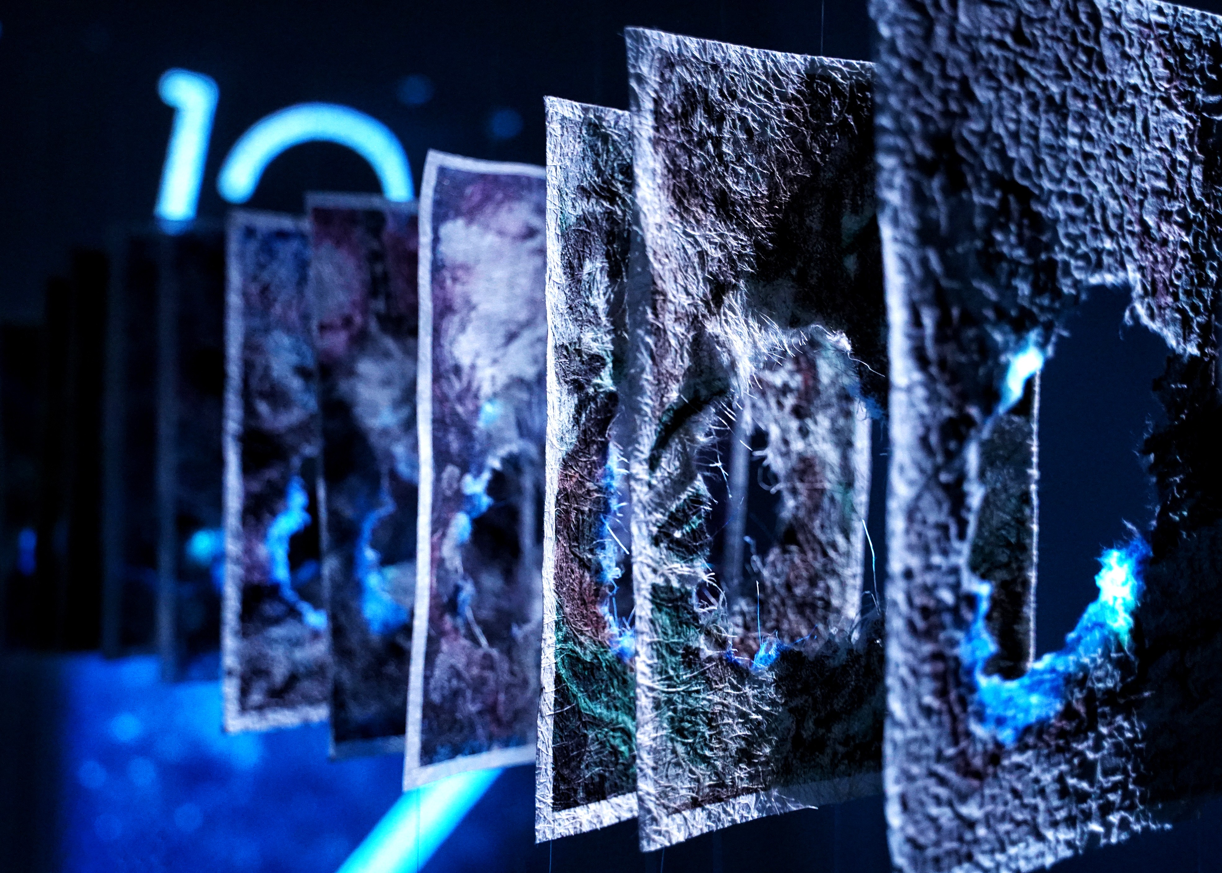 Alzheimer’s Duality — cover photograph