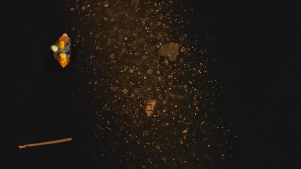 No Nightingale — film still 01 of 12