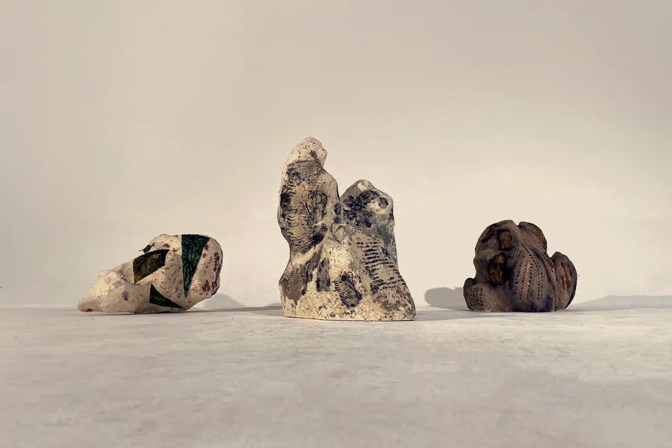 The Plant Archive — cover photograph