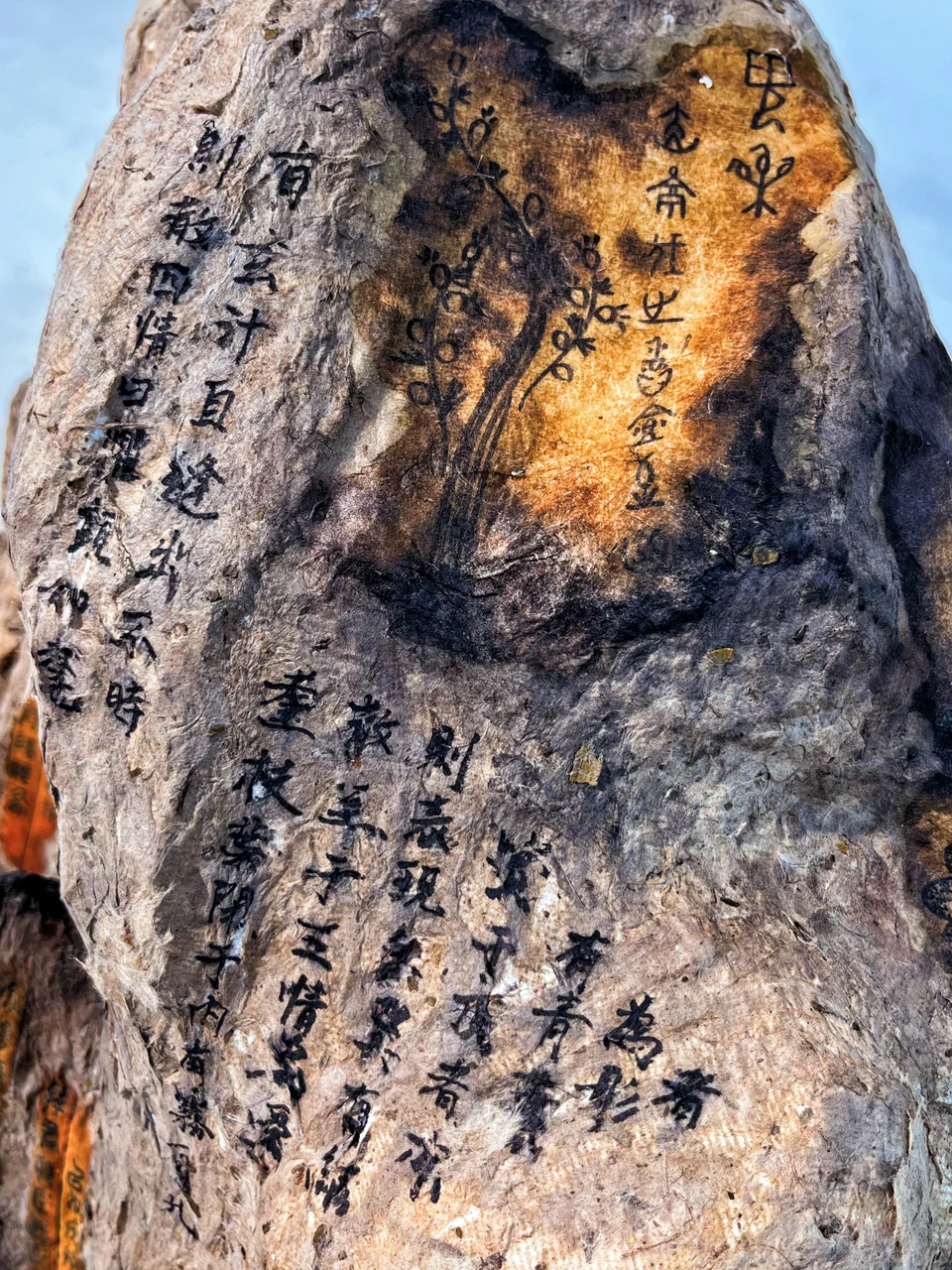 The History of Plants’ Discovery — detail 03
