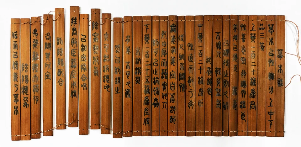 The Materia Affectivus: Classify plants according to their personalities based on the Shennong’s Classic of the Hundred Herbs