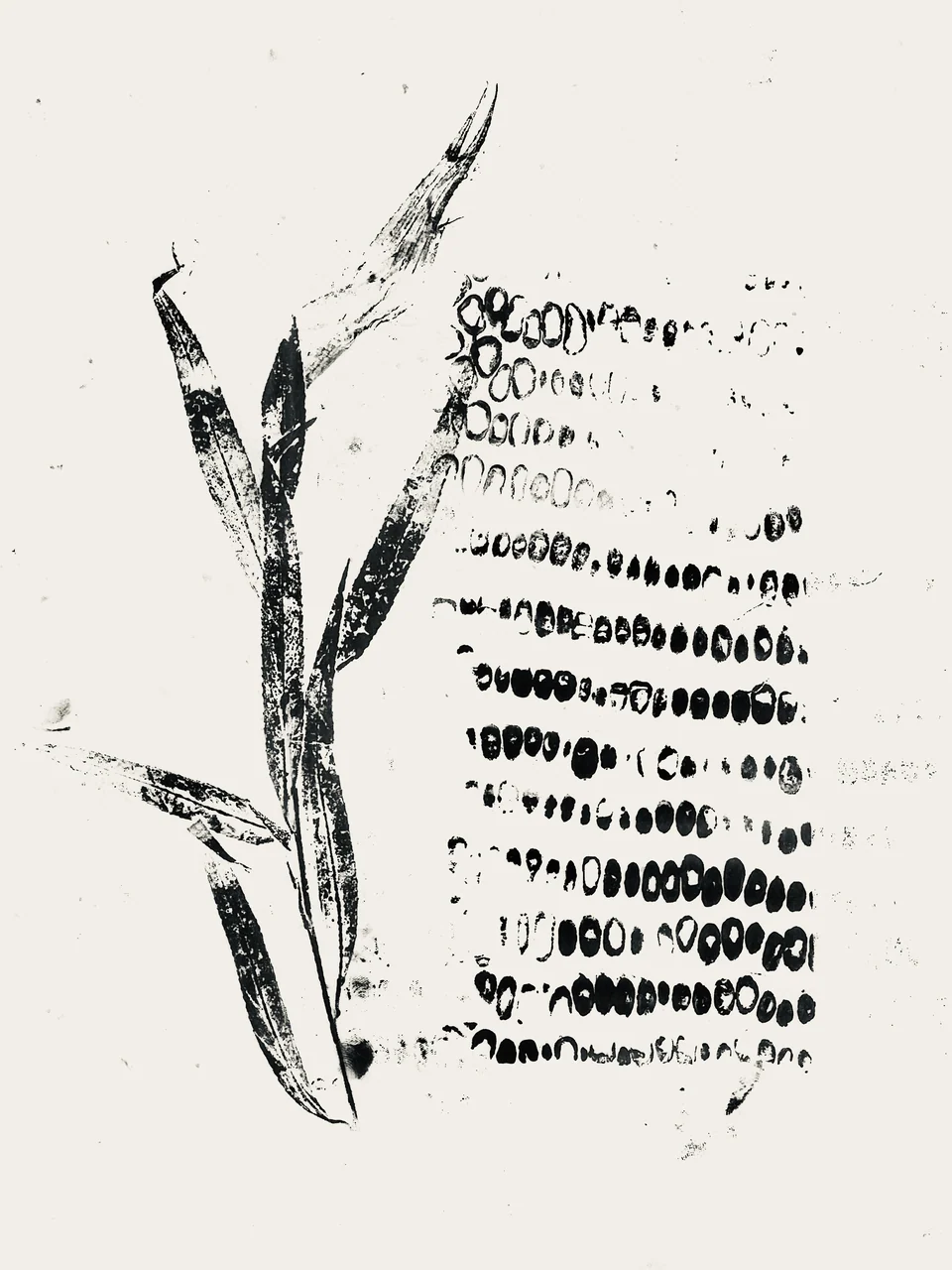 Documents of different statements