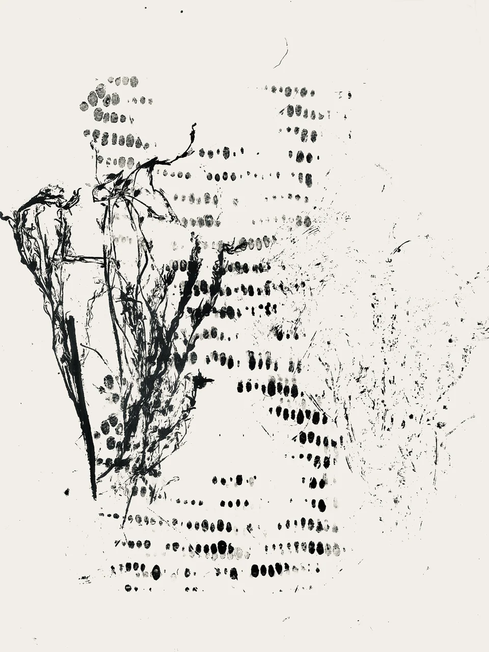 Documents of different statements