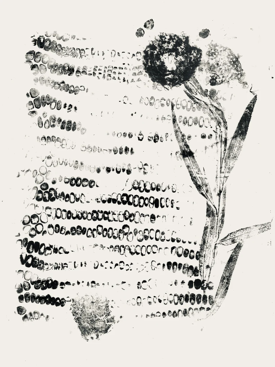 Documents of different statements