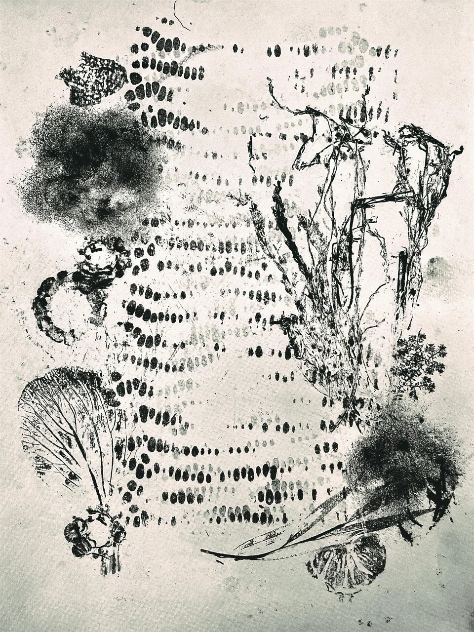 The Declaration on Plant Rights — original document