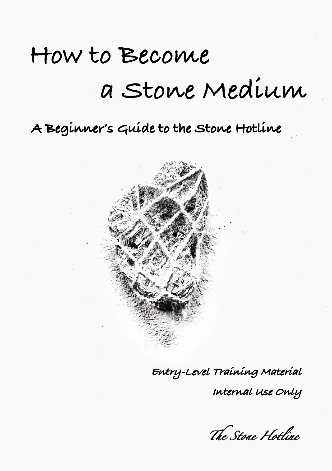 How to Become a Stone Medium — cover photograph